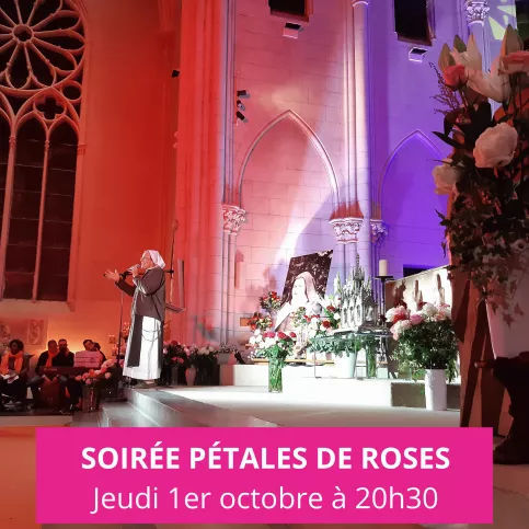 Soirée pétales de roses - ST26